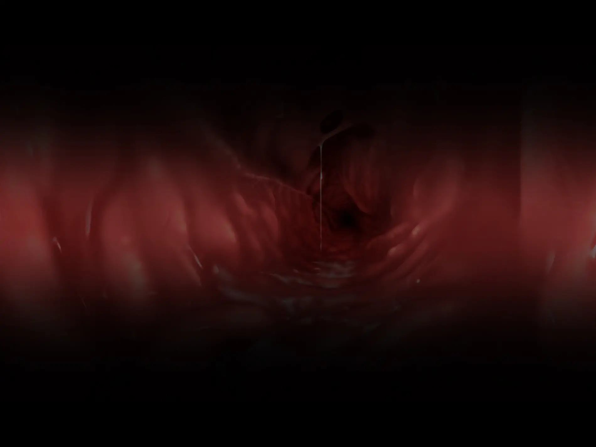 Senkou No Ikusu -Disorder Eclipse- | 섬광의 이쿠스 -Disorder Eclipse-